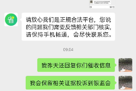 大新融资清欠服务